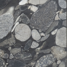 Black Marince